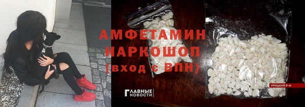индика Балахна