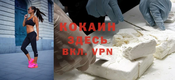 индика Балахна
