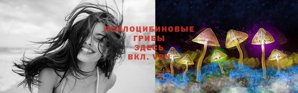 винт Баксан