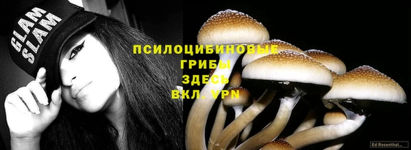 винт Баксан