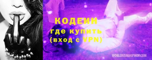 индика Балахна