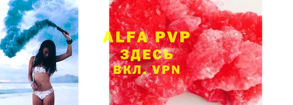индика Балахна