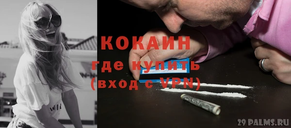 индика Балахна
