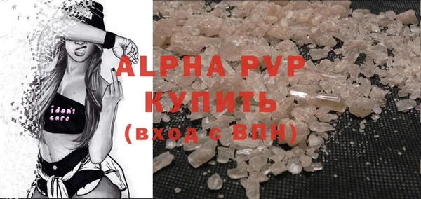 индика Балахна