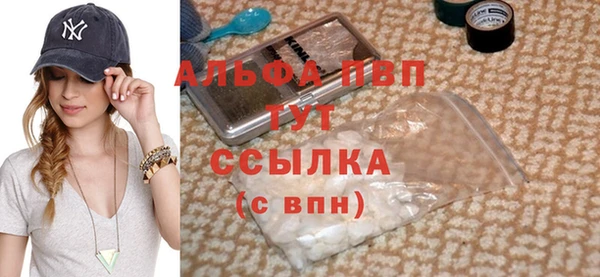 индика Балахна