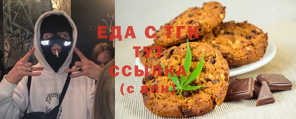 индика Балахна