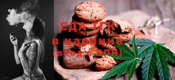индика Балахна