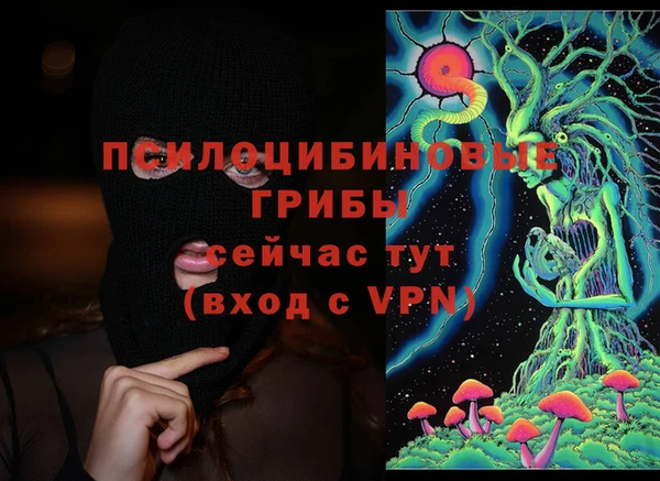 индика Балахна