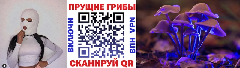 Псилоцибиновые грибы ЛСД  купить  цена  Свирск 